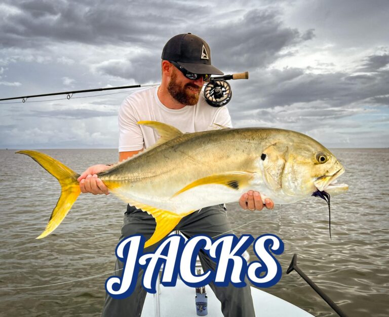 Jacks